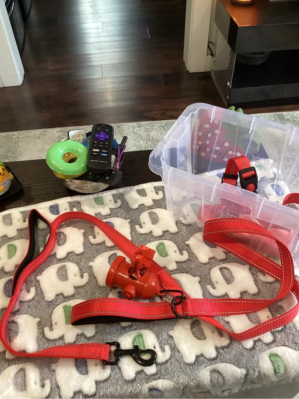 NWOT - Red Dog Leash and Accessory Set - Puppy Kit - BRAND NEW!!!!!!!!!